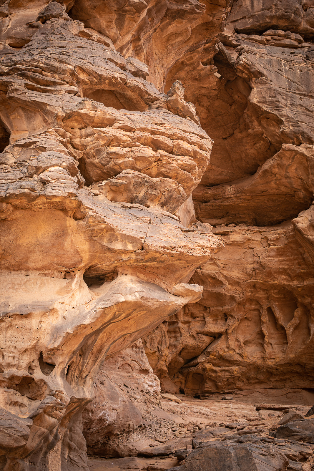 Human & Nature  outoftime 44